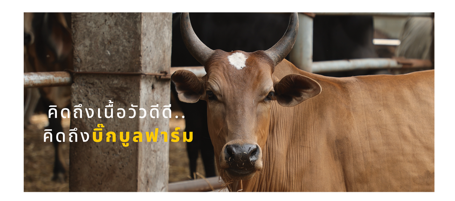 ส่งเว็บ-125